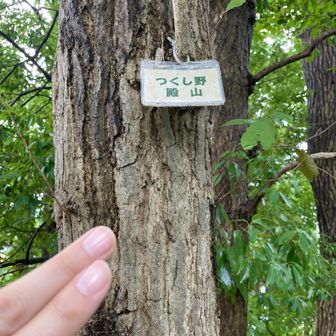 つくし野殿山（52m）山頂
住宅街の中にありながら湧き水やビオトープ、縄文時代の横穴墓などがある自然豊かな緑地だそうです☘️

もう一つ手書きの勝手標識🪧があるようですが、見つけられませんでした
