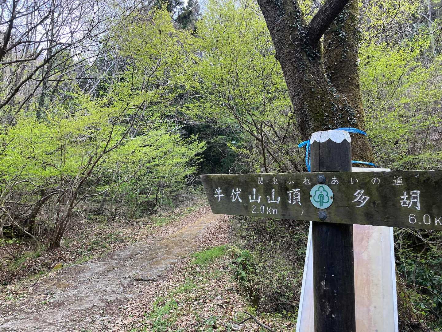 山頂までの車道途中の登山口
こちらからスタートでした。

今日は三つ⭐︎無事下山ありがとうございました😊