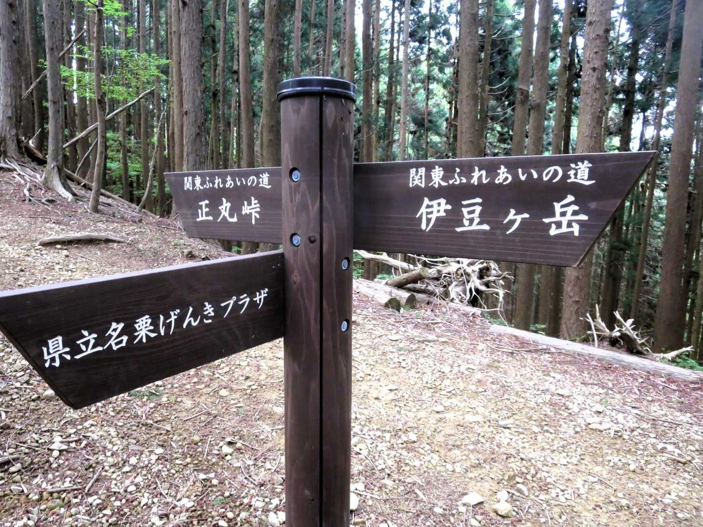 １４時５４分、長岩峠に到着。　右に行けば伊豆ヶ岳だがすぐ左に山頂GET出来る小高山があるから山頂を取りに行く事にする。🤣　やはり山頂GETを取れる物は取っておきたいのがヤマッパーの悲しい習性。🤣