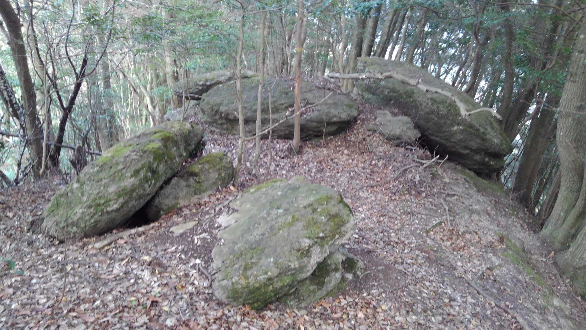 岩だらけ