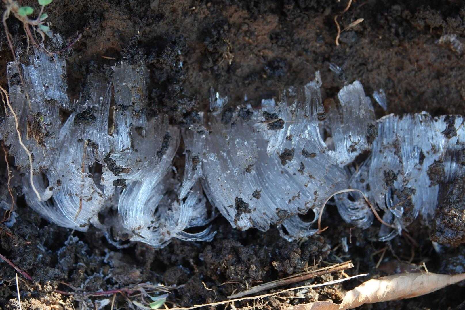 寒かったんだね。
時間もっと早ければ、氷華が見れたのかも。