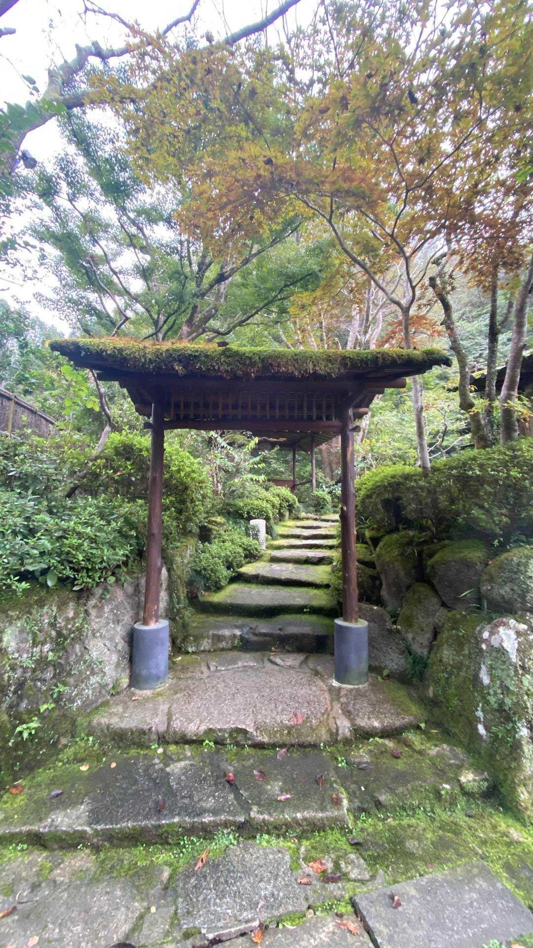 高尾山口駅-草戸山-榎窪山 周回コースの写真