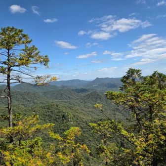 中岳山頂から