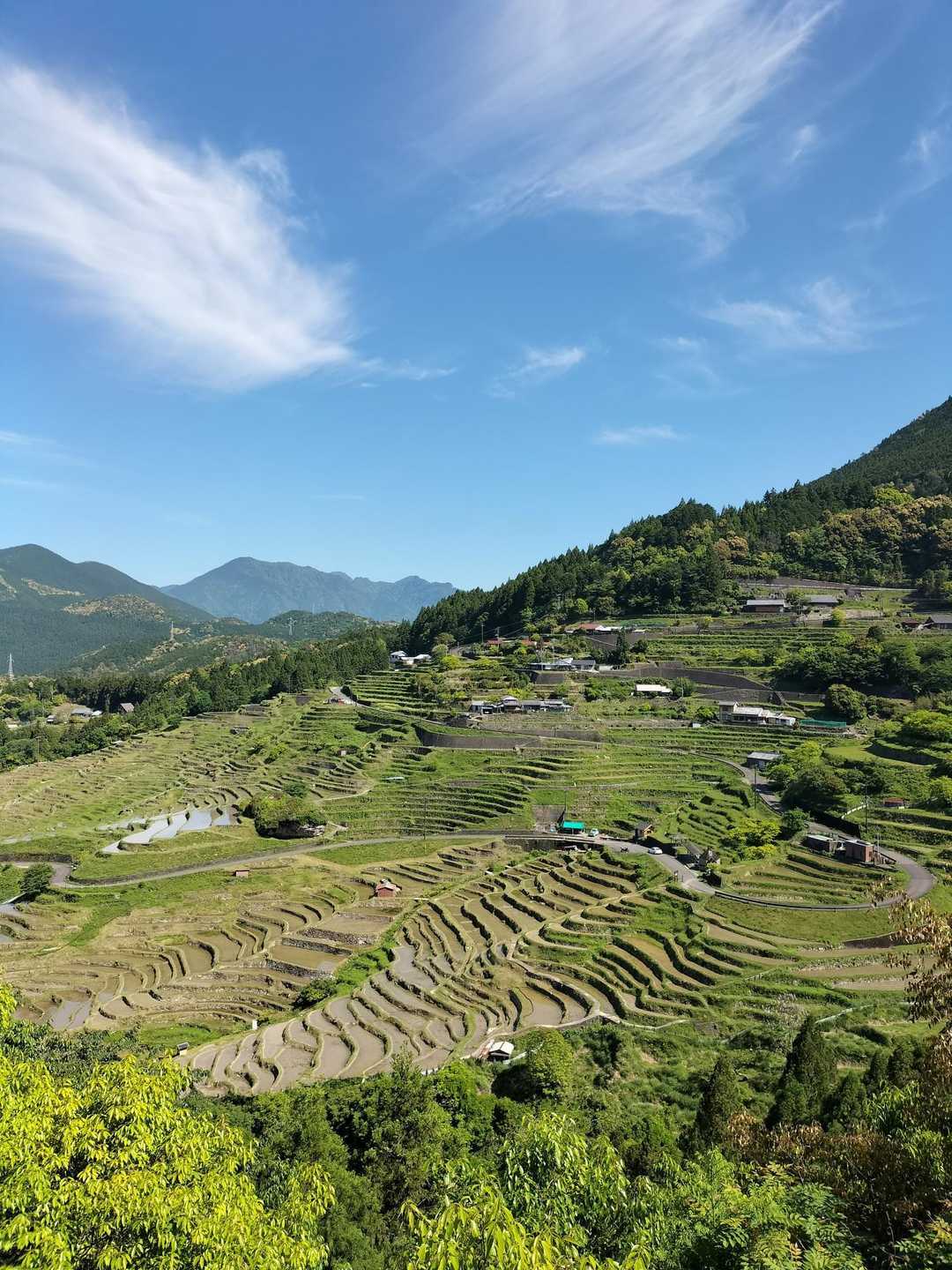 風伝アルプス⛰️ひとまず縦走🎉…元玉置・裏玉置神社を経由して / マル