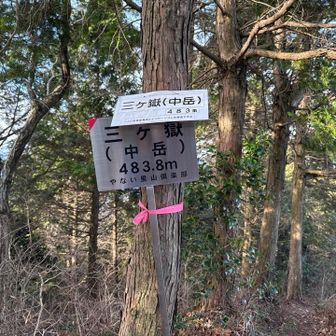 山頂着いた。
通りすがり山頂だな。
