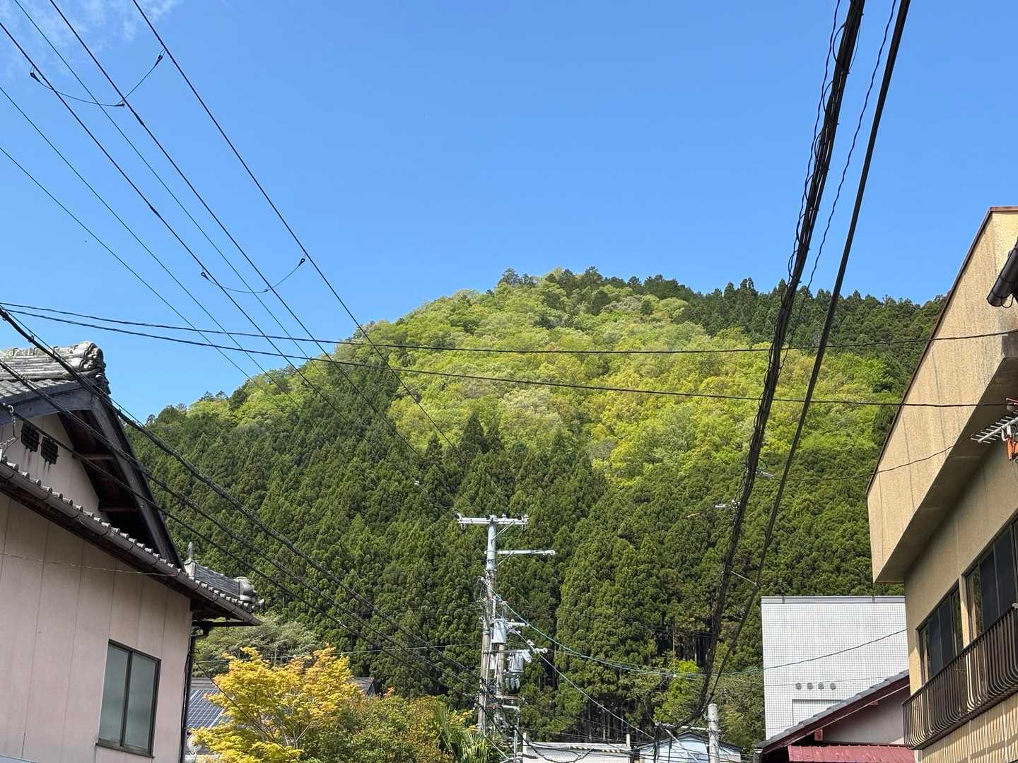 この山に登ります。
いい天気☀️