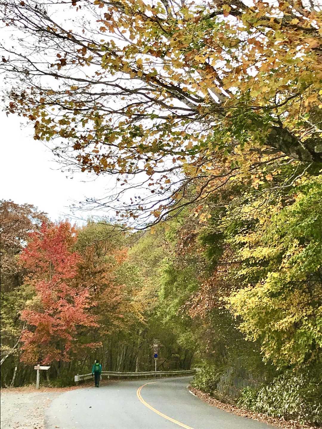 登山口へ向かいます