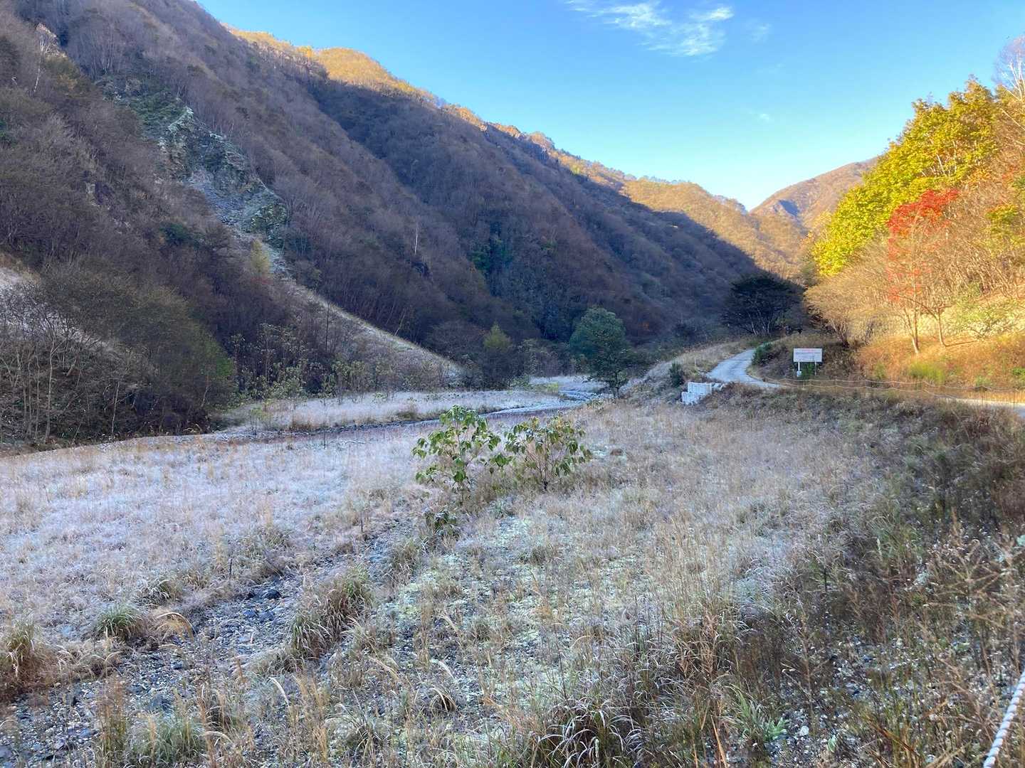 霜で真っ白