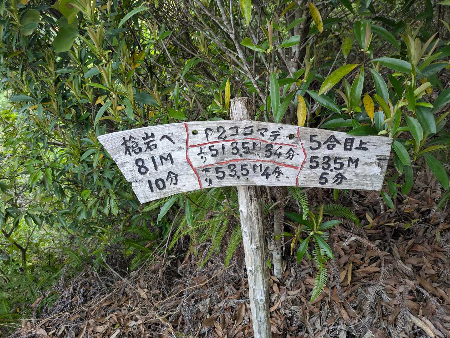 冠岳 往復コースの写真