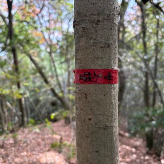 赤テープな山頂