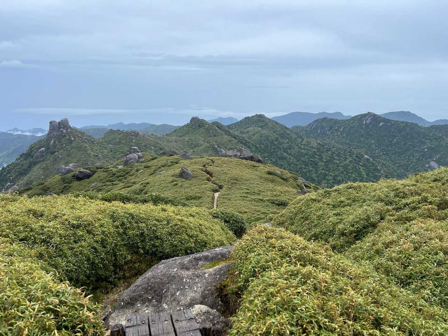 宮之浦岳往復 | 世界遺産の縄文杉の森を歩き、九州最高峰を目指す離島ハイクの写真