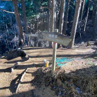 山伏平（標高729） 通過

21世紀の森へ下ります

ここからはあまり展望は期待できません
