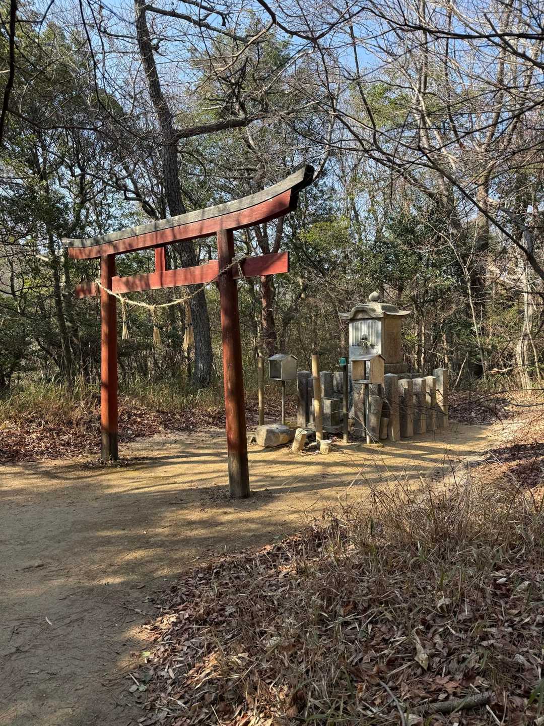 宝塚駅-岩倉山-大谷乗越-船坂峠-水無山-六甲越-六甲山- 縦走コースの写真