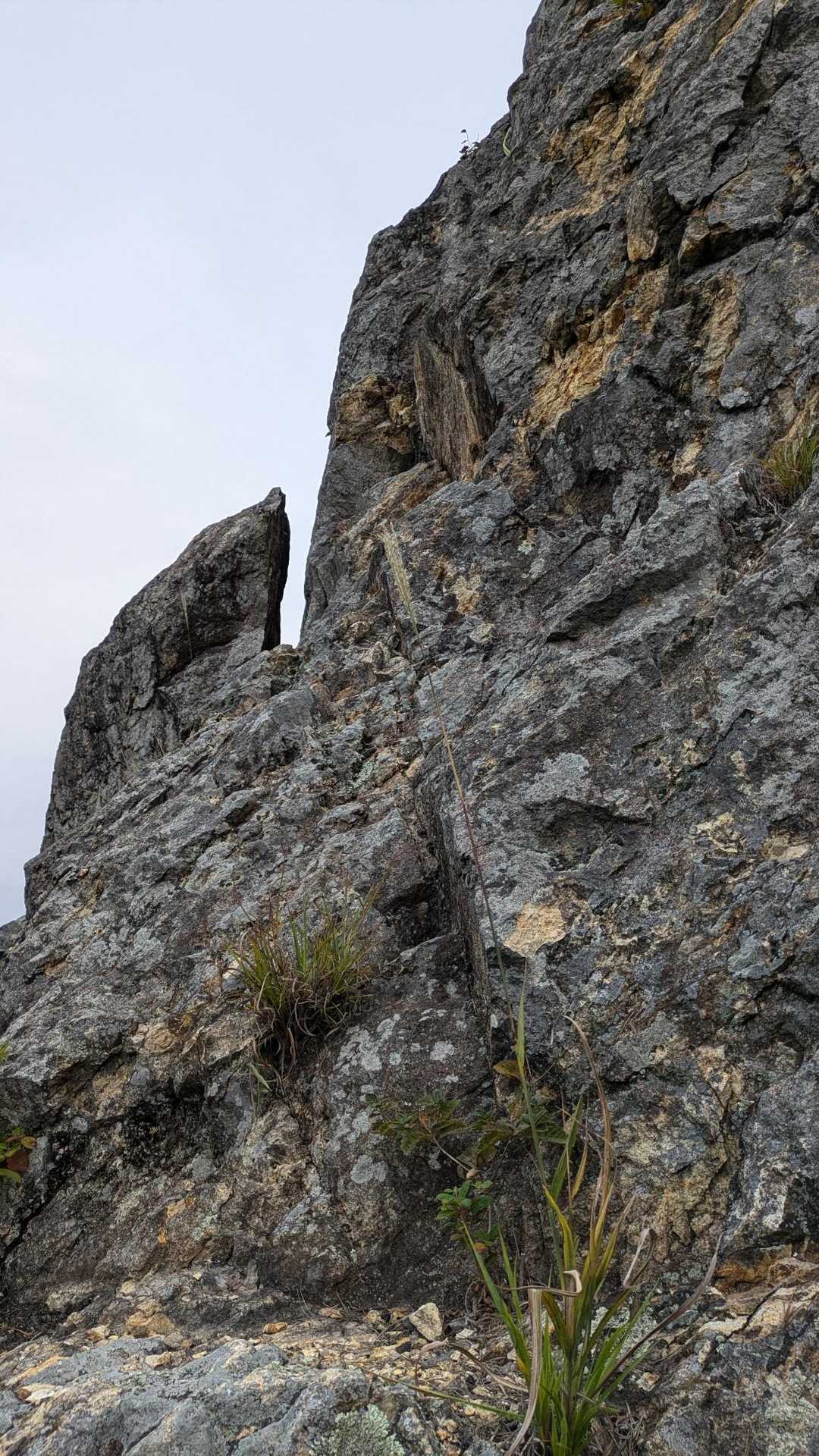 葛尾山 往復コースの写真