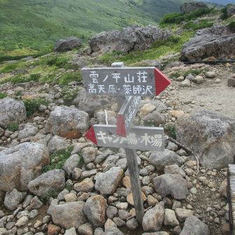 分岐点➡️