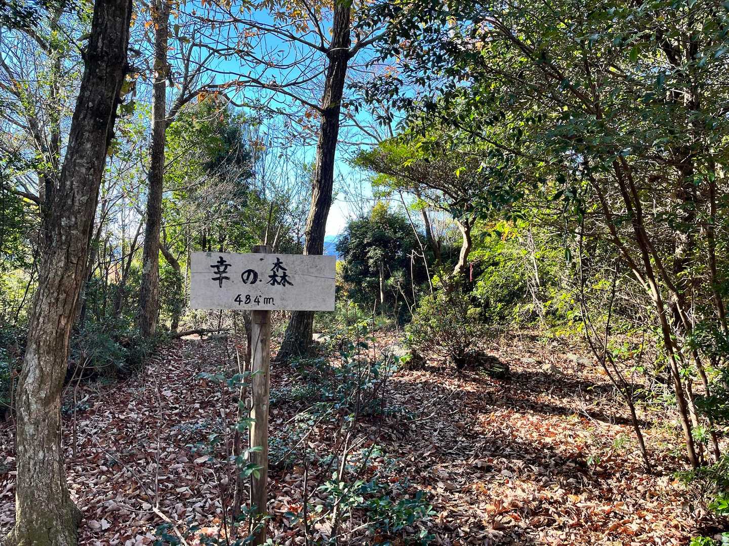 幸の森🙌良き名前🥰
前は眺望良かったみたい