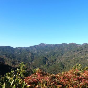 奥のピークは高畑山かな?
