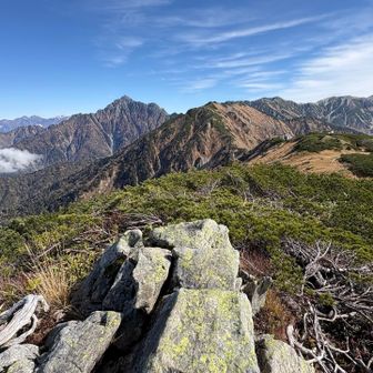 からの中大日岳‼️
からの剱岳、奥大日岳😊
左奥には後ろ立山連峰‼️