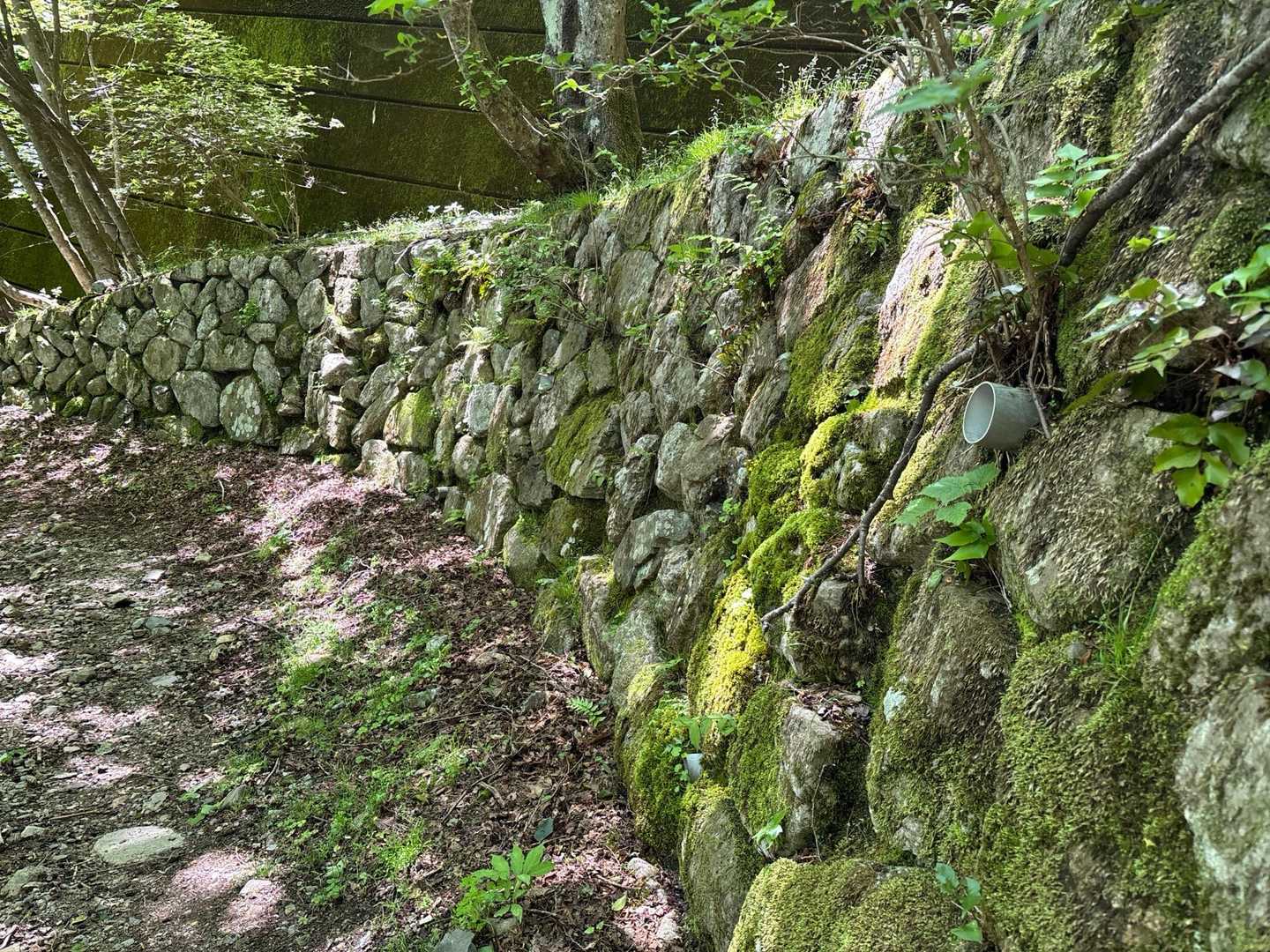 蓬莱駅-蓬莱山登山コース入口-小女郎峠-蓬莱山-打見山-天 縦走コースの写真