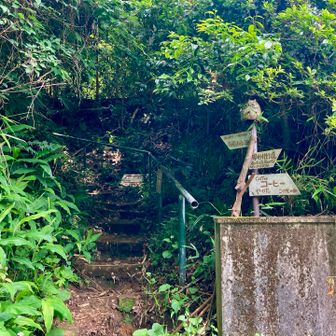 歩いたことのない金比羅ルートで下山

どこだここ？🤣

シラン2はちょっとわたくしには足先が広め＆ゆるめで下りは足がなかで動いて疲れちゃった

いつものスポルティバよりワンサイズ小さくしたほうが良かったかな
あと靴紐ほどけやすかった

石ころ入らなそうなのは良かった☺️