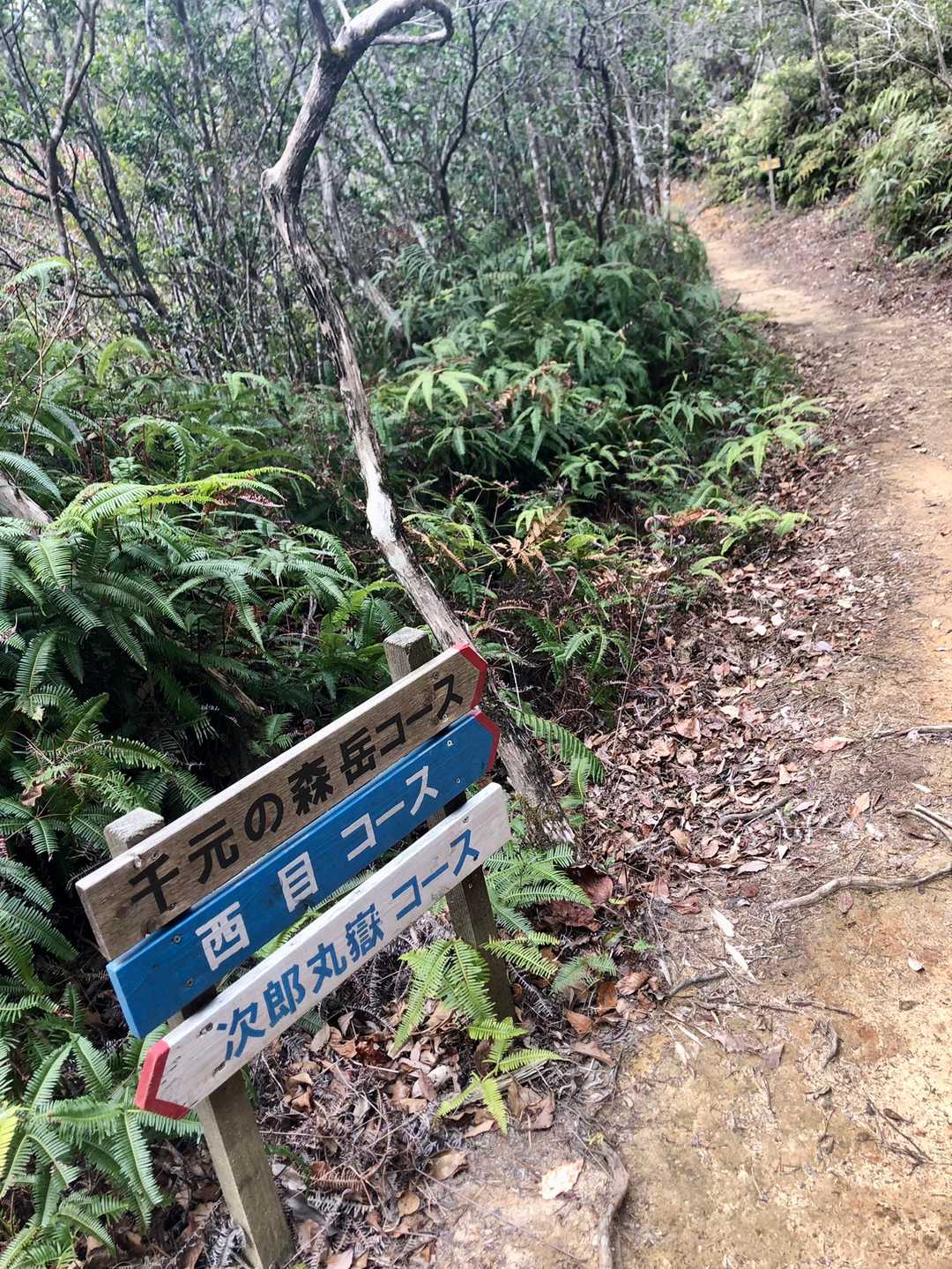 次郎丸嶽コースはかなりロングトレイルかと思います