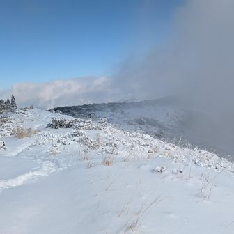 段ヶ峰到着
杉林は「三角点」の場所だ
今日も三角点掘り出し
右に伸びるのが「天空の回廊」だ