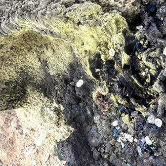 その岩の隙間からは熱い湯気がもくもく♨️
地球が生きてることを実感する