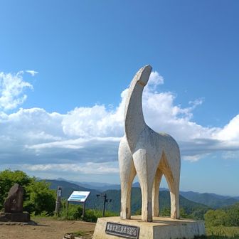 陣馬山２回目😅
高尾山山頂は30人位の団体が２組同時に撮影していて大賑わいでしたので、１回目の写真📷は諦めました😅