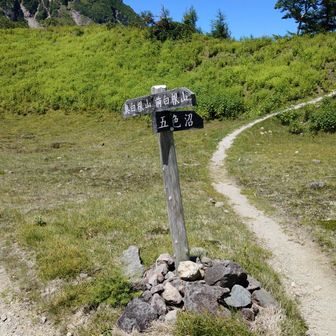 ここの分岐で五色沼へ降りるのではなく、もう少し進んだ避難小屋を経由する分岐へ行きます