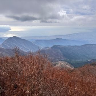 越前岳からの駿河湾