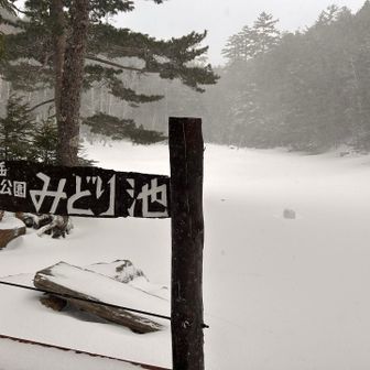 みどり池、池走ってみたかったけど、割れたらって考えたらこわいよね