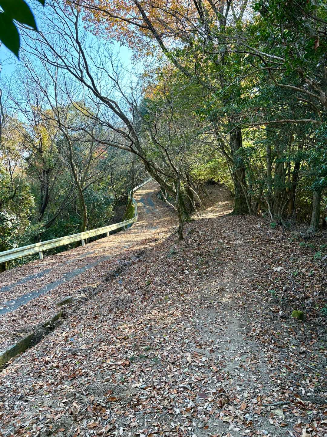 途中舗装された道路と並行に歩きます🚶‍♂️
なんかちょっとだけ「ちぇっ」って思ってしまう😑
