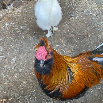 お出迎えありごとうございます