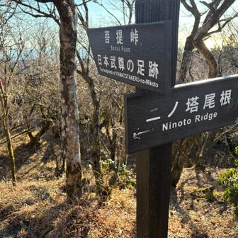 二ノ塔尾根にでました