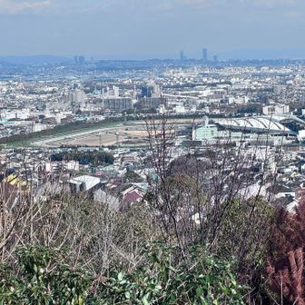東は目的地の阪神競馬場