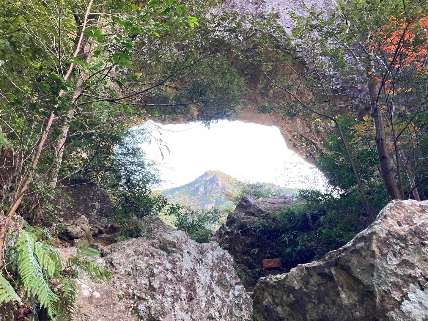 明神山（三ツ瀬明神山） 往復コースの写真
