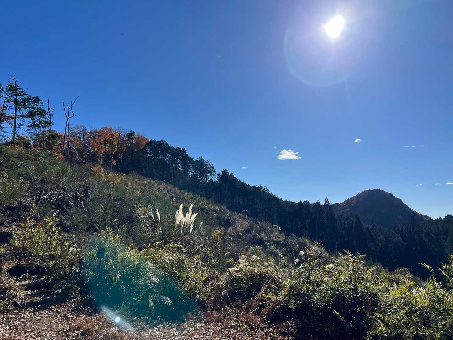細野峠から長倉山と天狗鳥屋山