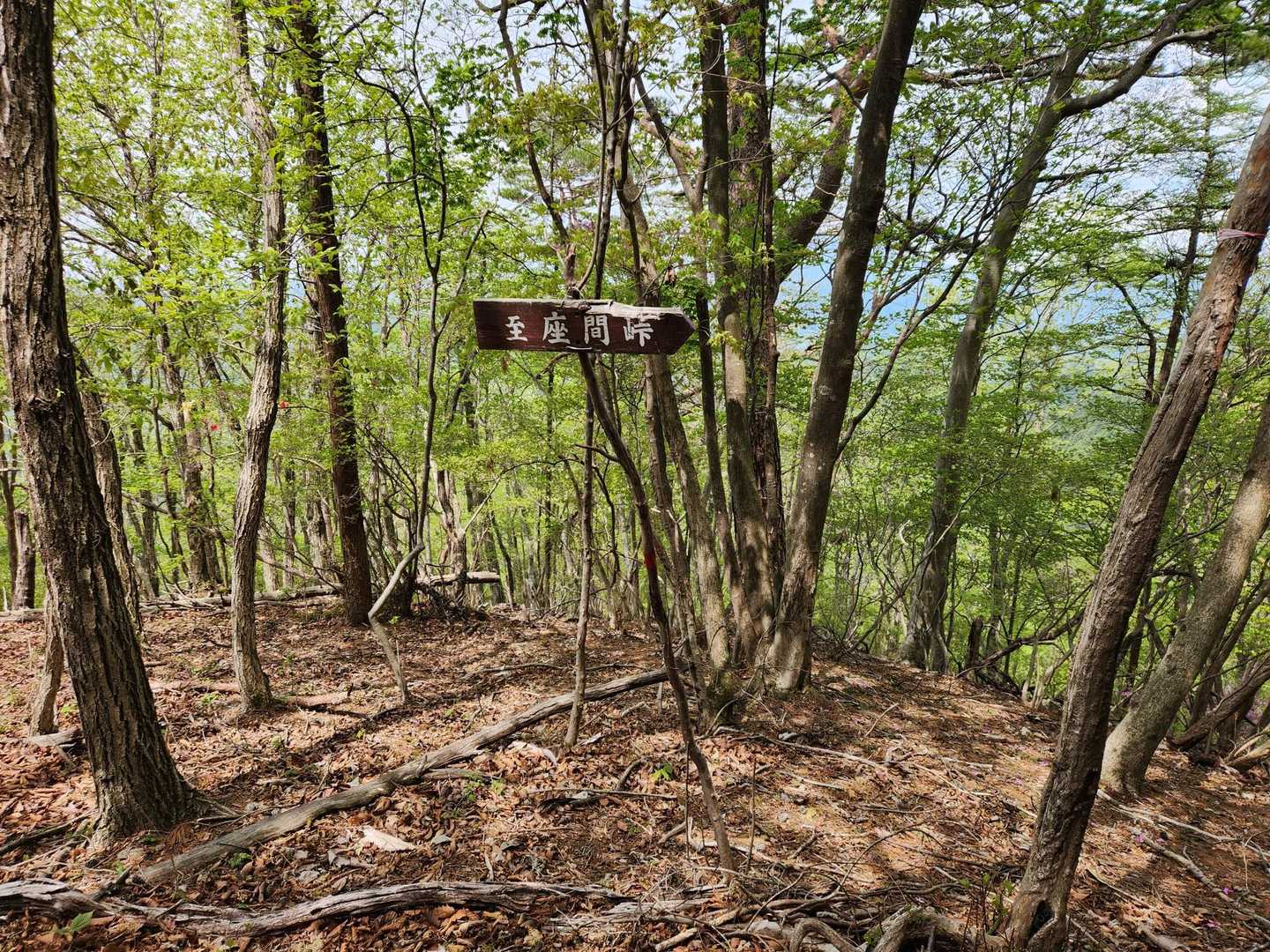 吾妻山-大形山-金沢峠-三峰山-花台沢ノ頭-鳴神山-鍋足沢 縦走コースの写真
