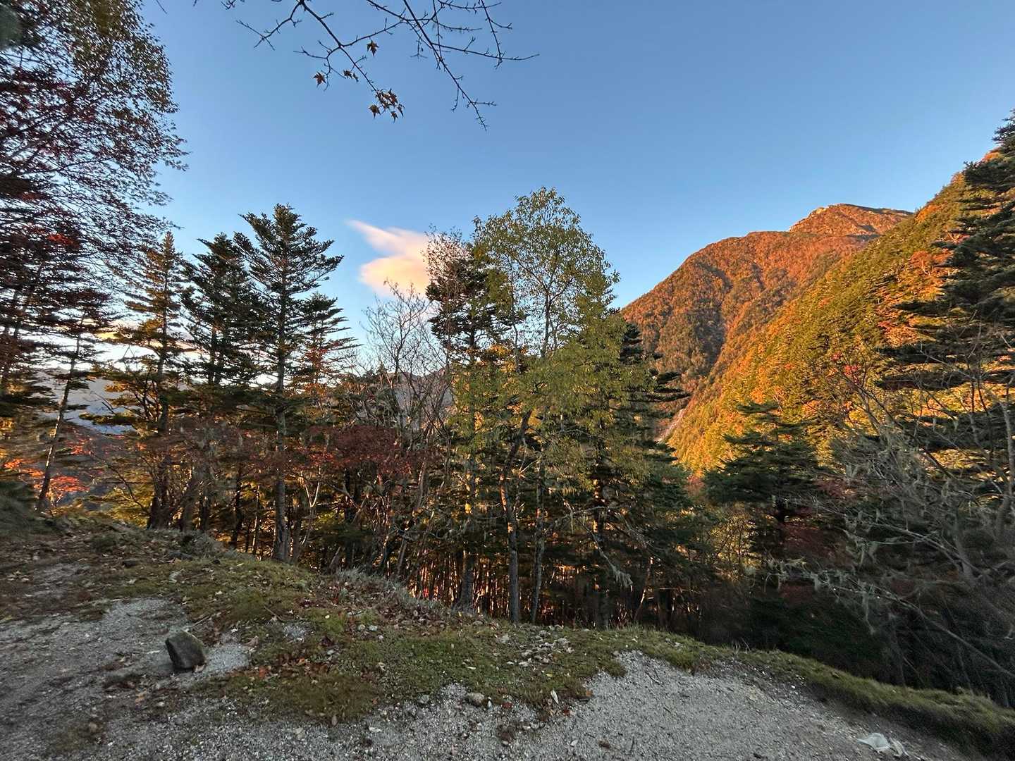 悲しいほどお天気