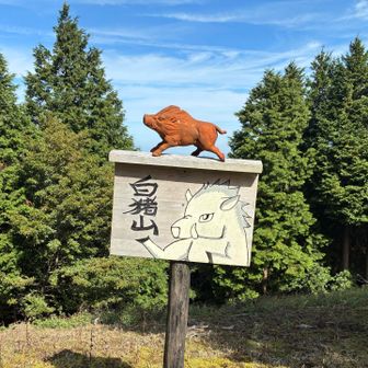 白猪山 819.7m
白猪山は今回で4回目の登頂。
まつさか香肌イレブン2巡目の意味が分からない😆
縦走&街道歩きや、堀坂山からの軌跡繋ぎでも登っており、何となく縁がある山。