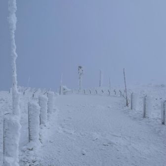 迷いはしないので、呑気に歩くと、早く〜と姉が叫んでいます♪私、もうヘロヘロです🥲