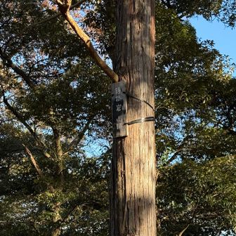 鐘掛岩山頂⛰️