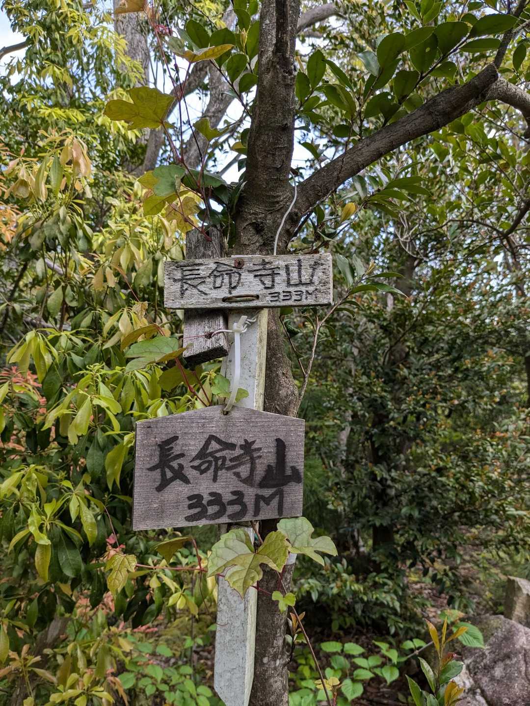 長命寺山登山口-長命寺山-奥島山 往復コースの写真