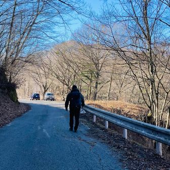 林道を2kmくらい歩いて、駐車場に戻りました！