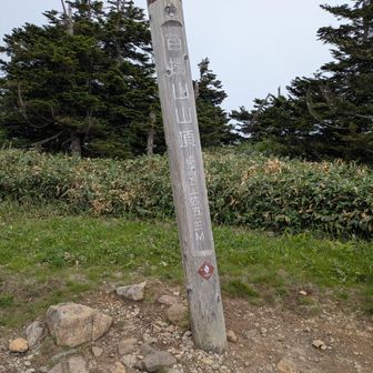 山頂からは展望なし