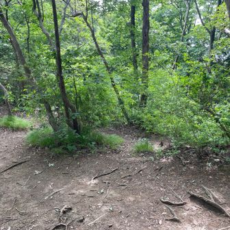 別の登山道にぶつかりましたよ
右が古賀志山左が見晴台？🤪