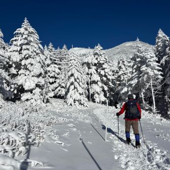 今日は気持ちよく歩けそう