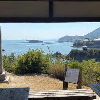 多分、歩きやすいハイキングコース。。。

が、しんどい😓、、、