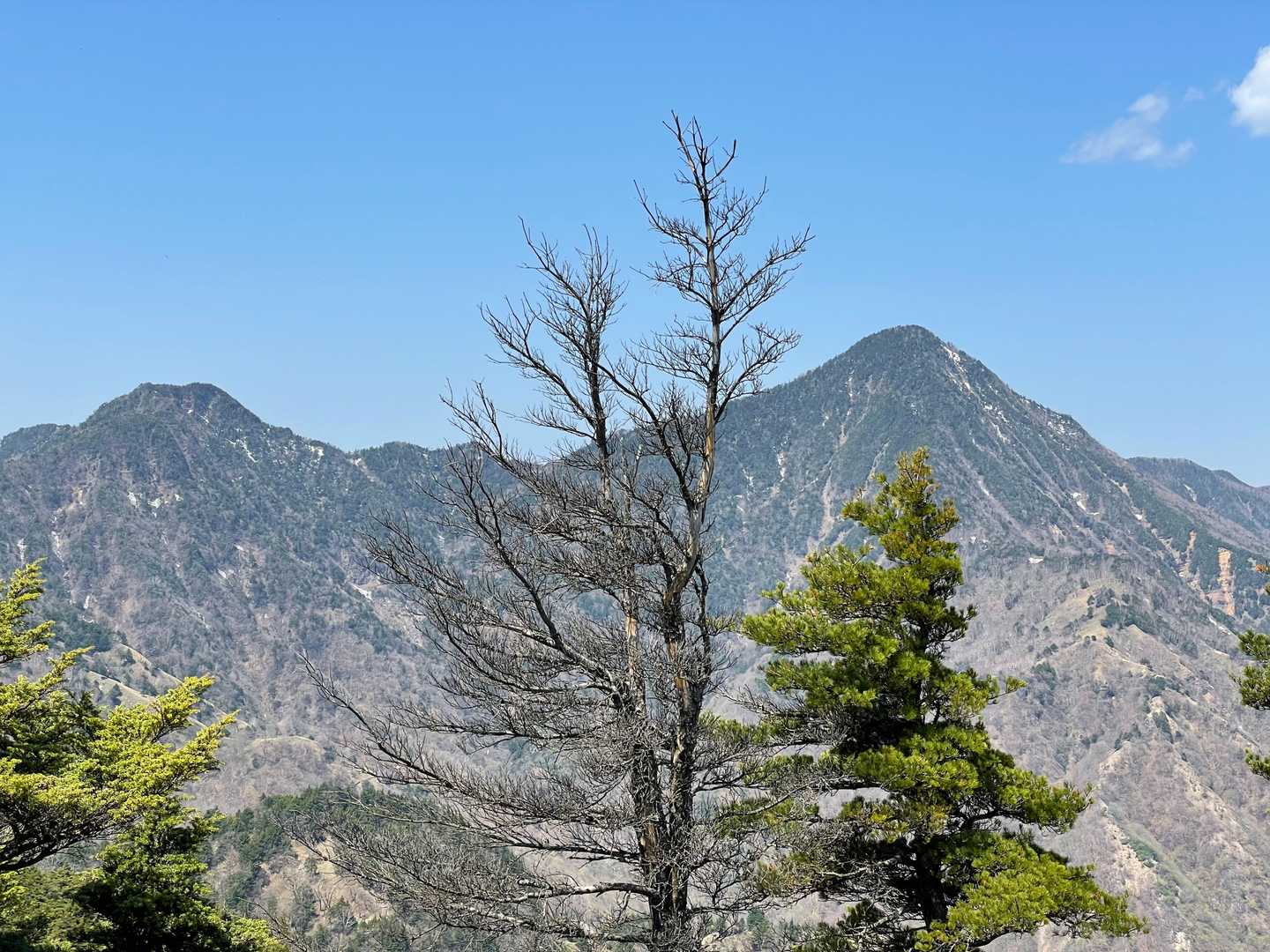 オロ山からの皇海山。
ピラミダルな山容でカッコイイ。