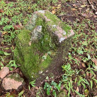 千間山、何もない。